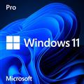 MS Windows 11 Professional, 64-bit
